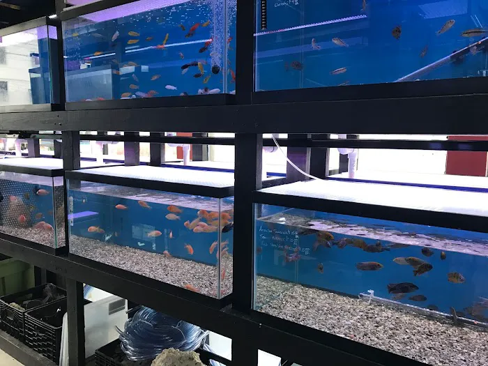 1st Class Aquarium Picture 4