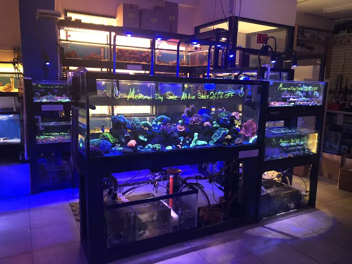 1st Class Aquarium Picture 6