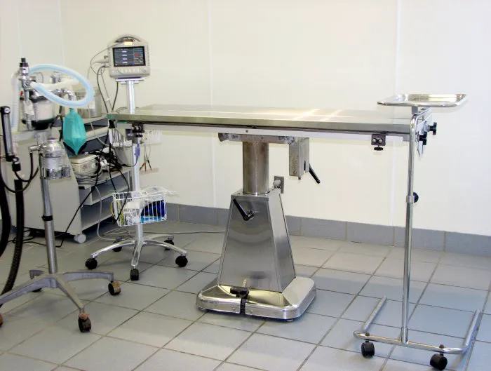 Southgate Animal Hospital Picture 4