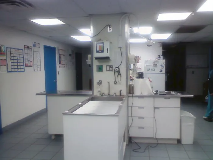 Southgate Animal Hospital Picture 9