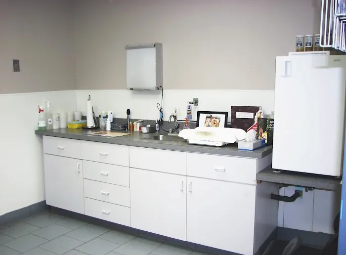 Southgate Animal Hospital Picture 6