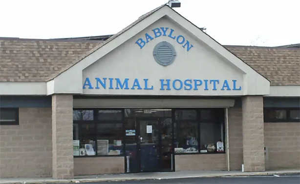 Babylon Animal Hospital Picture 7