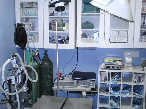 Babylon Animal Hospital Picture 6
