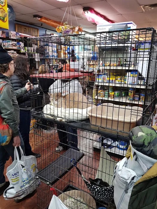 Fussy Friends Pet Supplies Picture 4