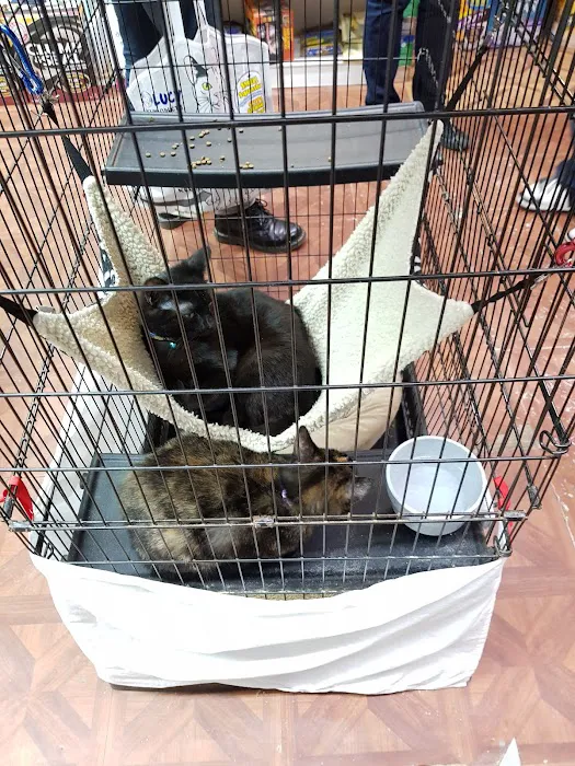 Fussy Friends Pet Supplies Picture 8