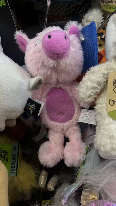 Fussy Friends Pet Supplies Picture 6