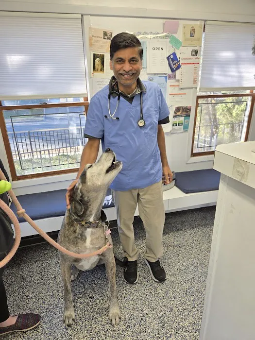 West Babylon Animal Hospital Picture 9