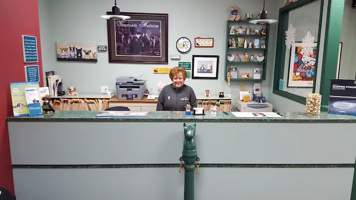 Four Paws Animal Hospital Picture 7