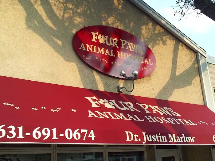 Four Paws Animal Hospital Picture 2