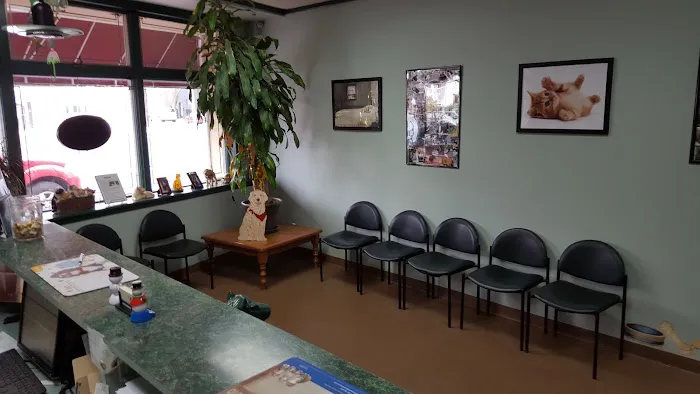 Four Paws Animal Hospital Picture 8