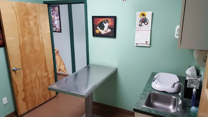 Four Paws Animal Hospital Picture 3