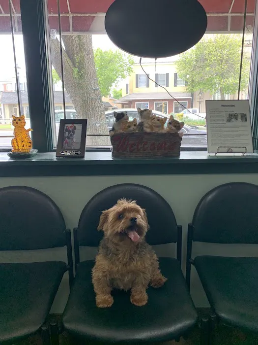 Four Paws Animal Hospital Picture 4
