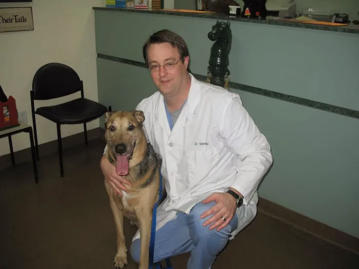 Four Paws Animal Hospital Picture 1