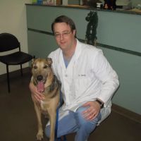Four Paws Animal Hospital ico