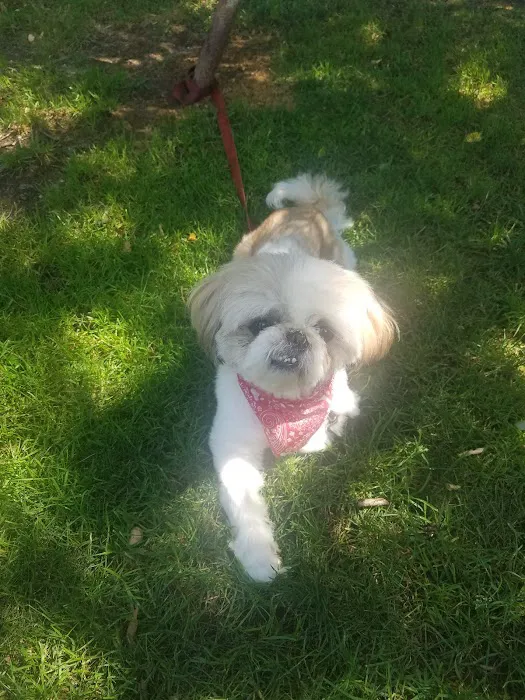 Amityville Animal Hospital Picture 8