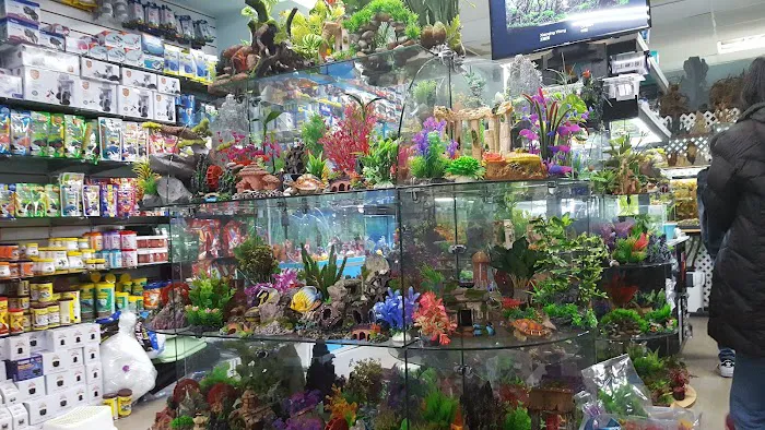 Amazing Aquarium Picture 9