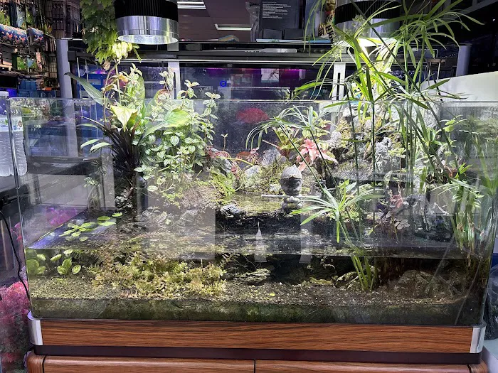 Amazing Aquarium Picture 8