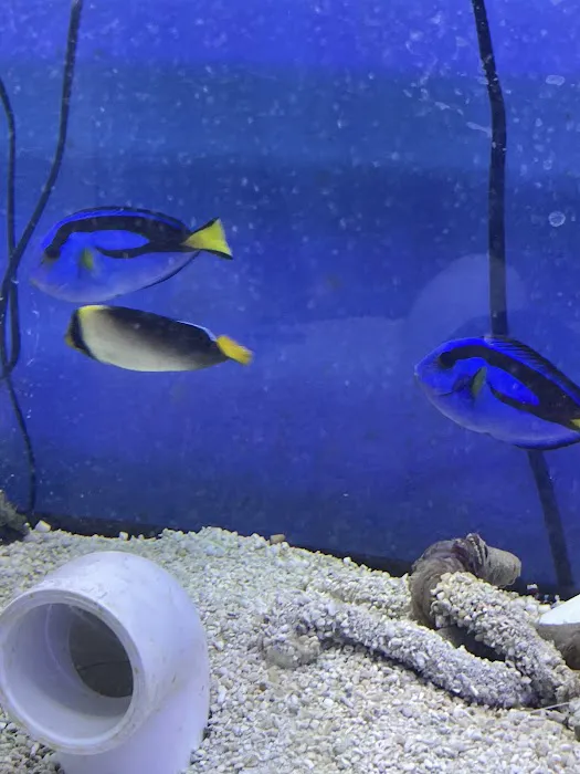 MOSREEF Picture 8