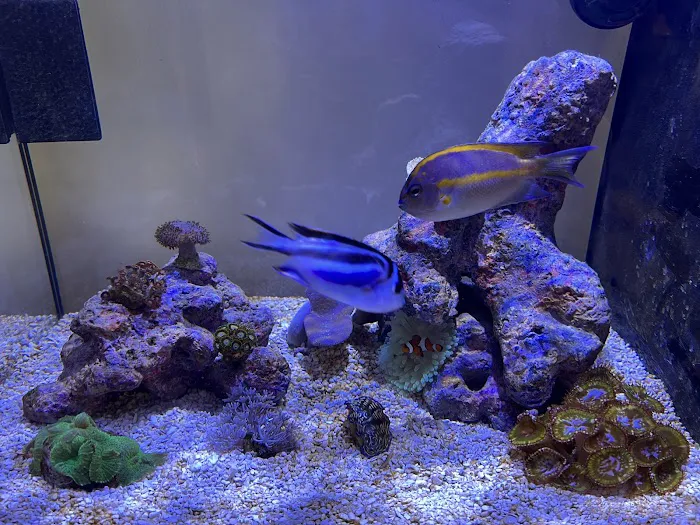 MOSREEF Picture 10