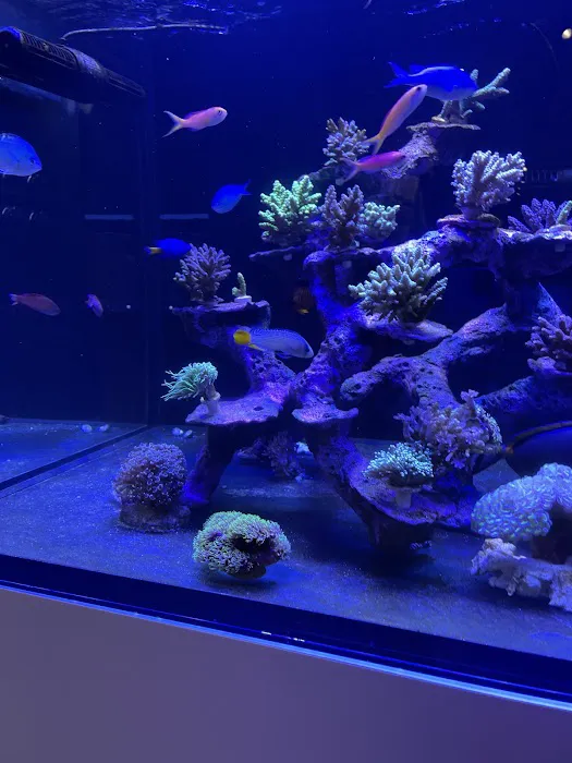 MOSREEF Picture 6