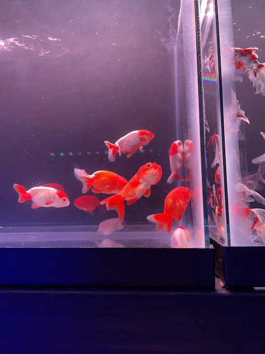 MOSREEF Picture 1