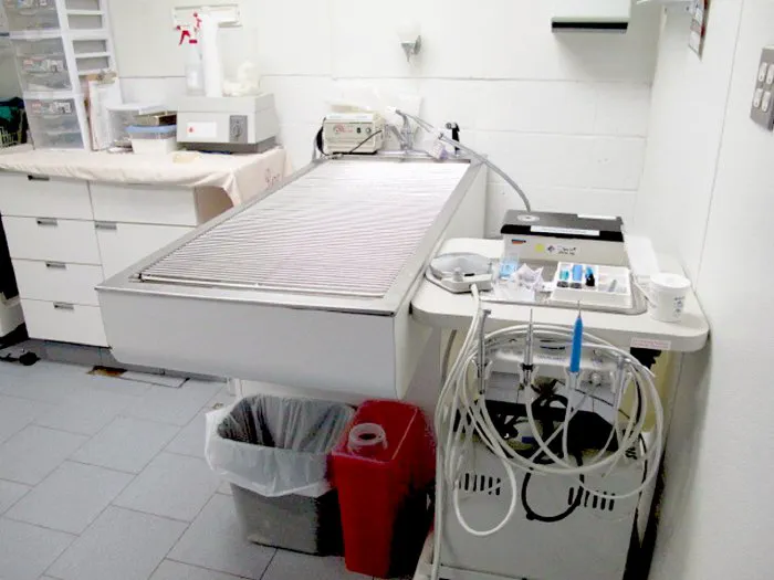 Aldrich Animal Hospital Picture 6