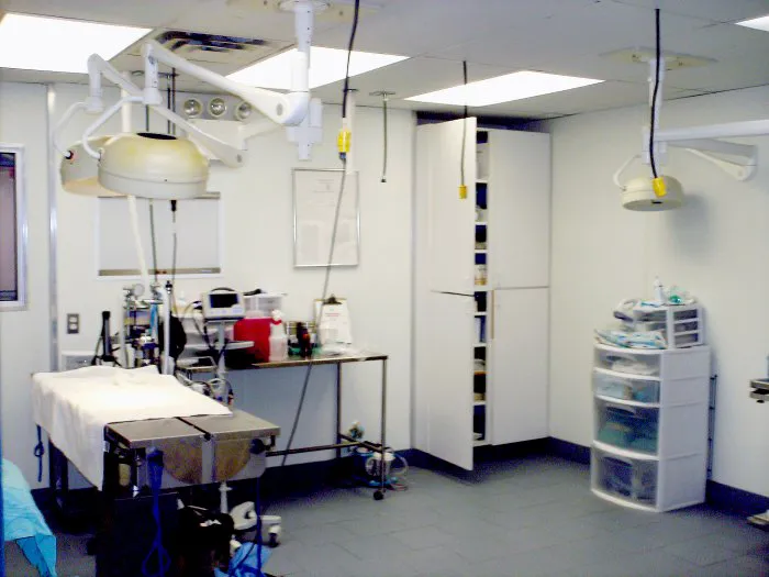 Aldrich Animal Hospital Picture 10