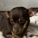 Aldrich Animal Hospital