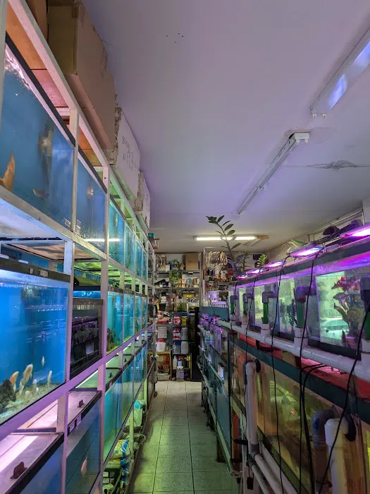 T & R AQUARIUM INC Picture 3
