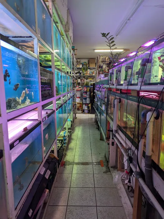 T & R AQUARIUM INC Picture 1