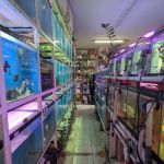 T & R AQUARIUM INC