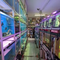 T & R AQUARIUM INC ico