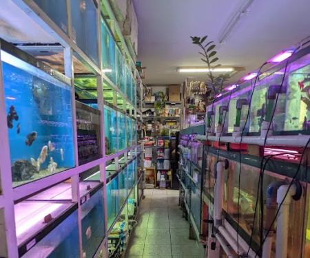 T & R AQUARIUM INC