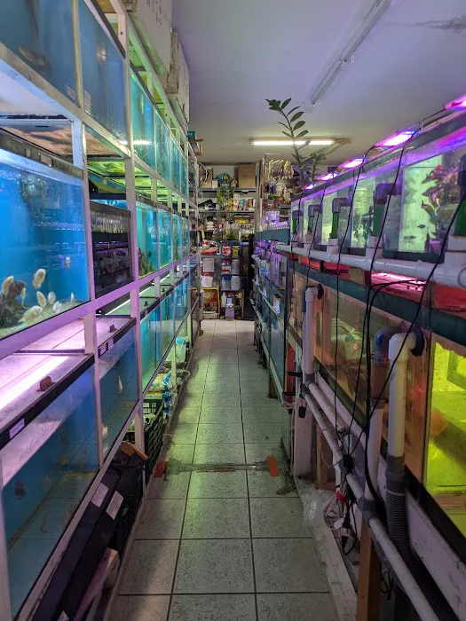 T & R AQUARIUM INC Picture 2