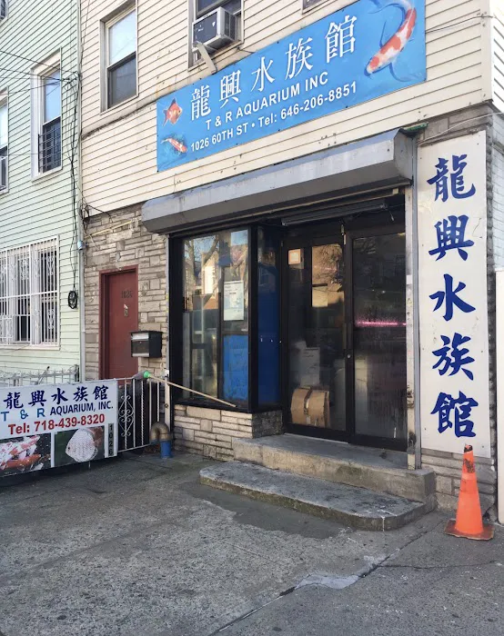 T & R AQUARIUM INC Picture 4