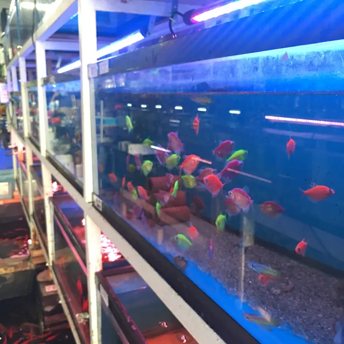 T & R AQUARIUM INC Picture 7