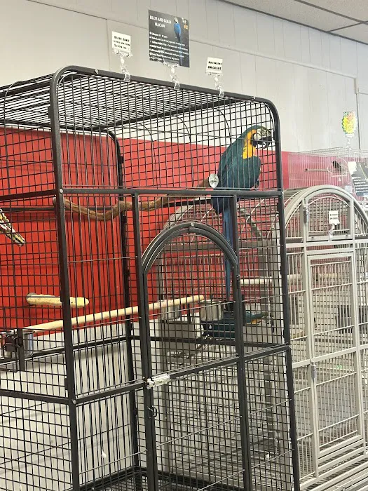 NJ Bird Store Picture 8