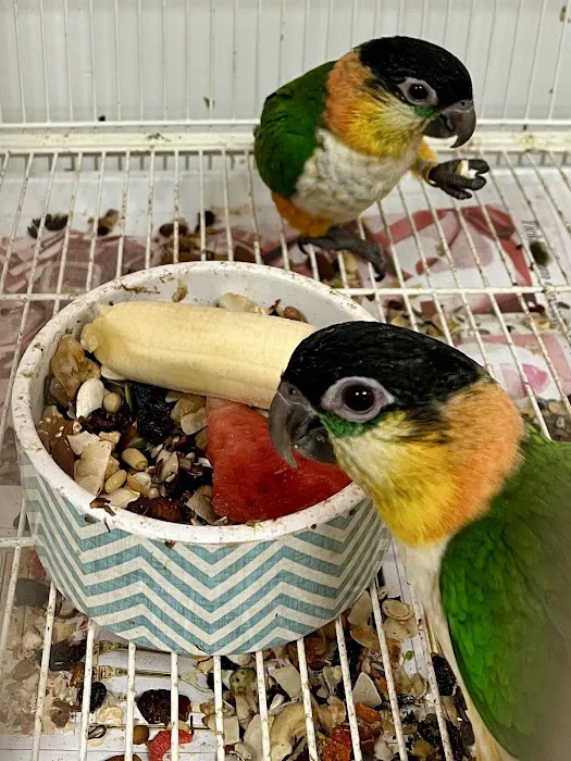 NJ Bird Store Picture 4