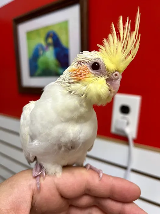 NJ Bird Store Picture 2