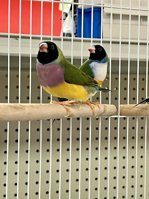 NJ Bird Store Picture 3