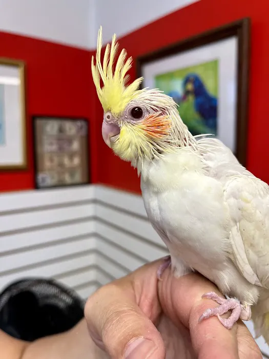 NJ Bird Store Picture 7
