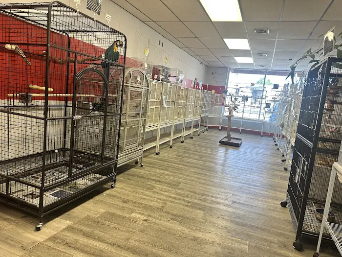NJ Bird Store Picture 10
