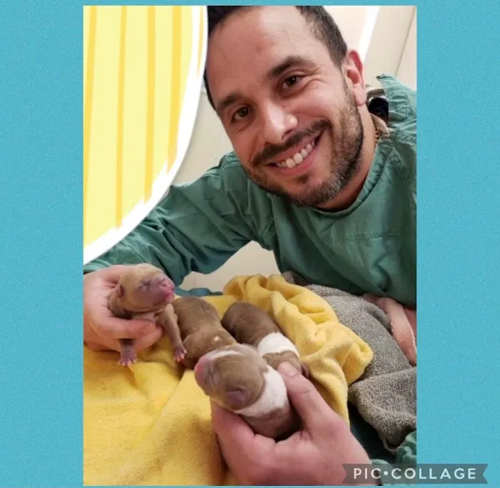 Suffolk Animal Hospital NY Picture 3