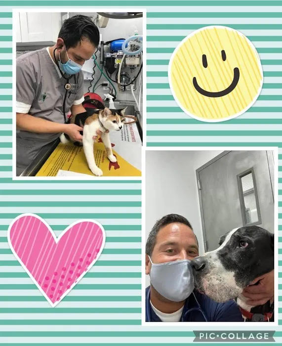 Suffolk Animal Hospital NY Picture 7