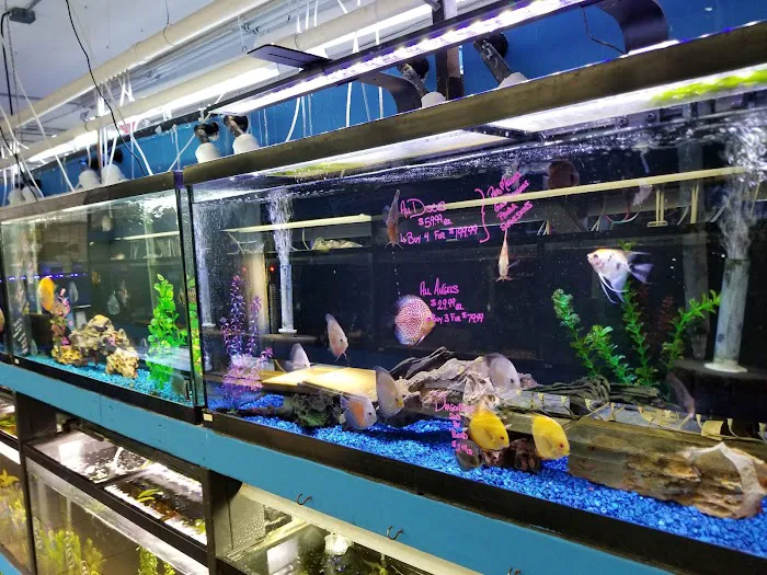 The Fish Hut of New Jersey Picture 9