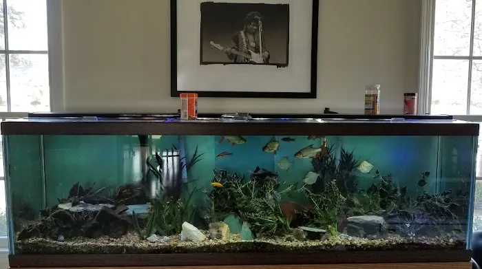 The Fish Hut of New Jersey Picture 1