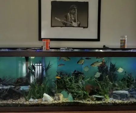 The Fish Hut of New Jersey