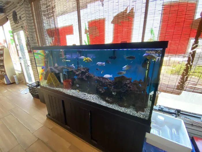 The Fish Hut of New Jersey Picture 8
