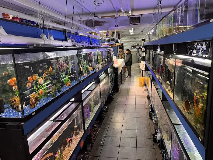 The Fish Hut of New Jersey Picture 3