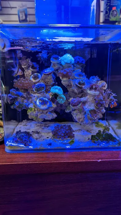 Exotic reef aquatic inc Picture 8